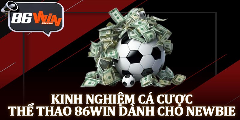 Kinh Nghiệm Cá Cược Thể Thao 86Win Dành Cho Newbie